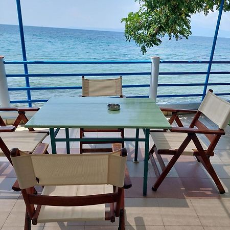 Manolis Studios Thassos Skála Kallirákhis Exteriér fotografie
