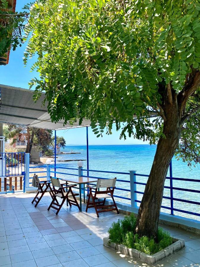 Manolis Studios Thassos Skála Kallirákhis Exteriér fotografie