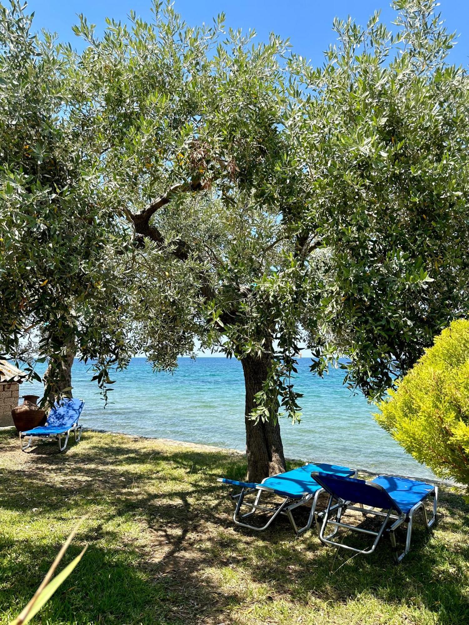 Manolis Studios Thassos Skála Kallirákhis Exteriér fotografie