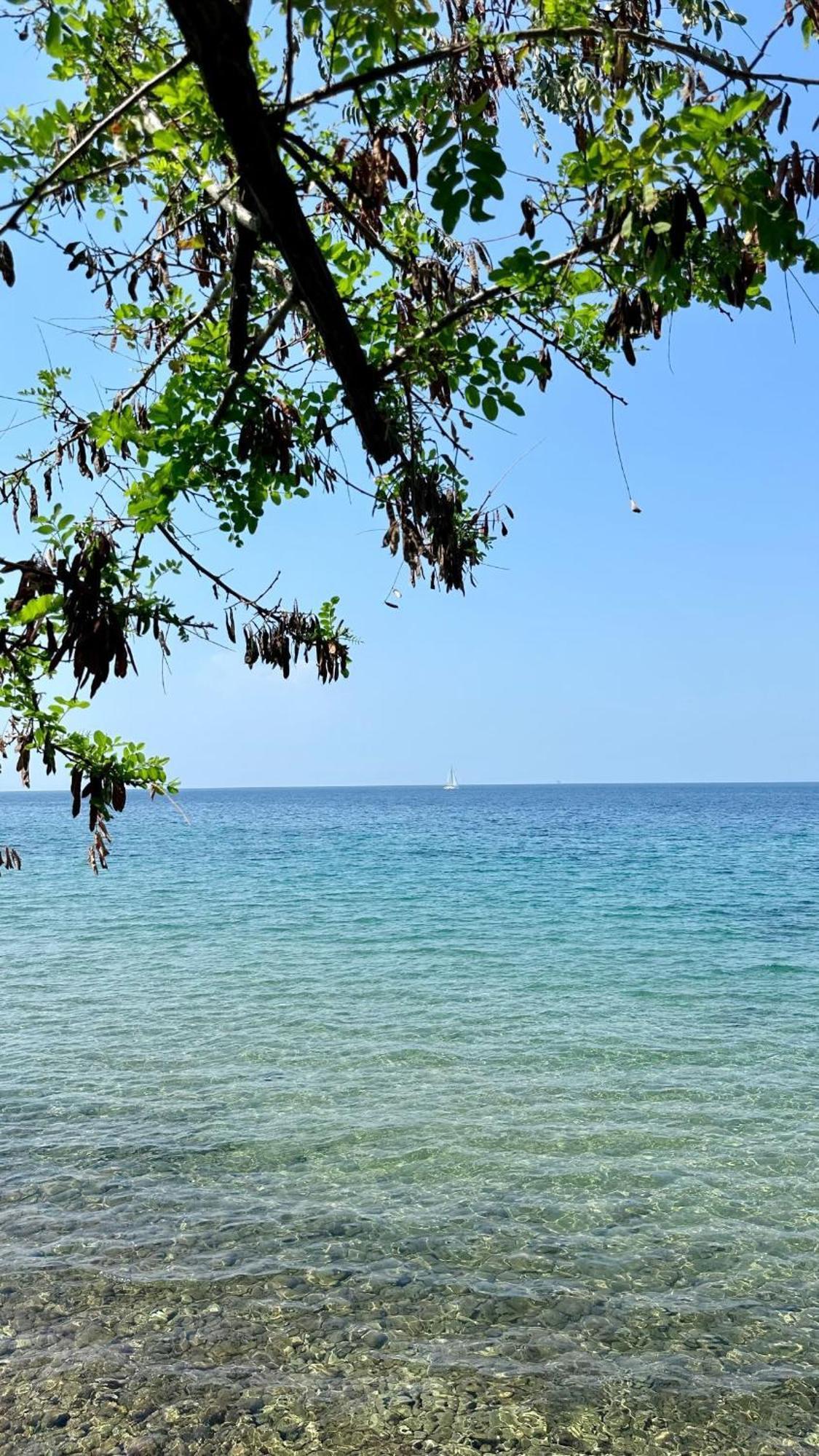 Manolis Studios Thassos Skála Kallirákhis Exteriér fotografie